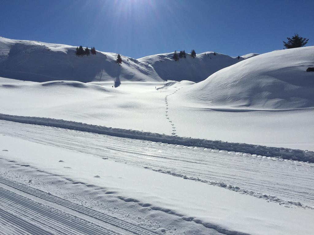 Appartements Ski Rent Michael 基茨比厄尔 外观 照片